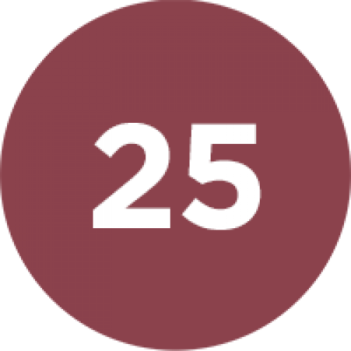 RVB LAB - Matita Labbra 25 DIEGO DALLA PALMA