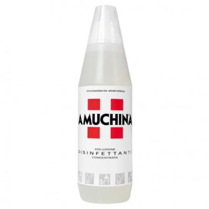 AMUCHINA SOLUZIONE DISINFETTANTE 100% 1LT