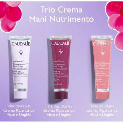 Caudalie Cofanetto Trio Creme mani e unghie idratanti profumate 30 ml idea regalo